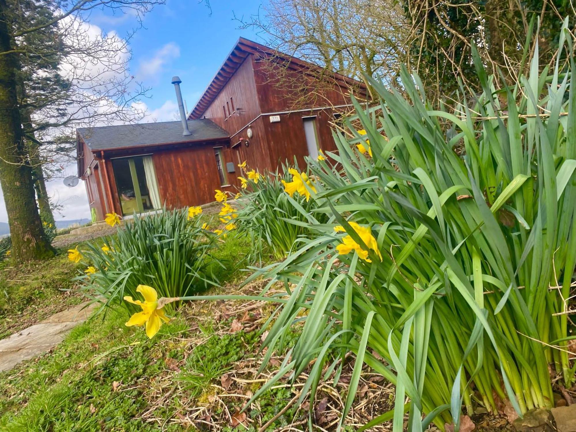 Ballyhoura Mountain Lodges Ballyorgan Esterno foto