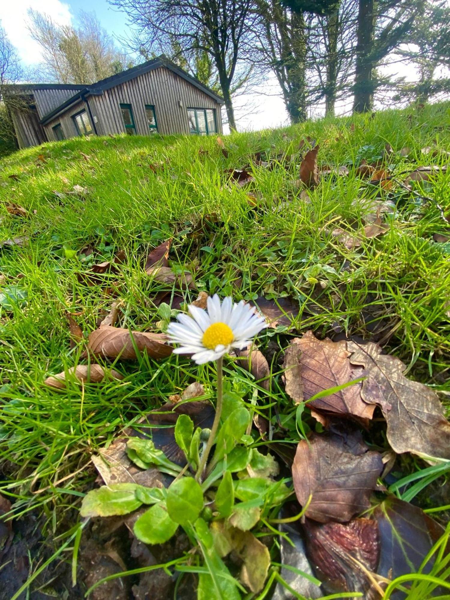 Ballyhoura Mountain Lodges Ballyorgan Esterno foto