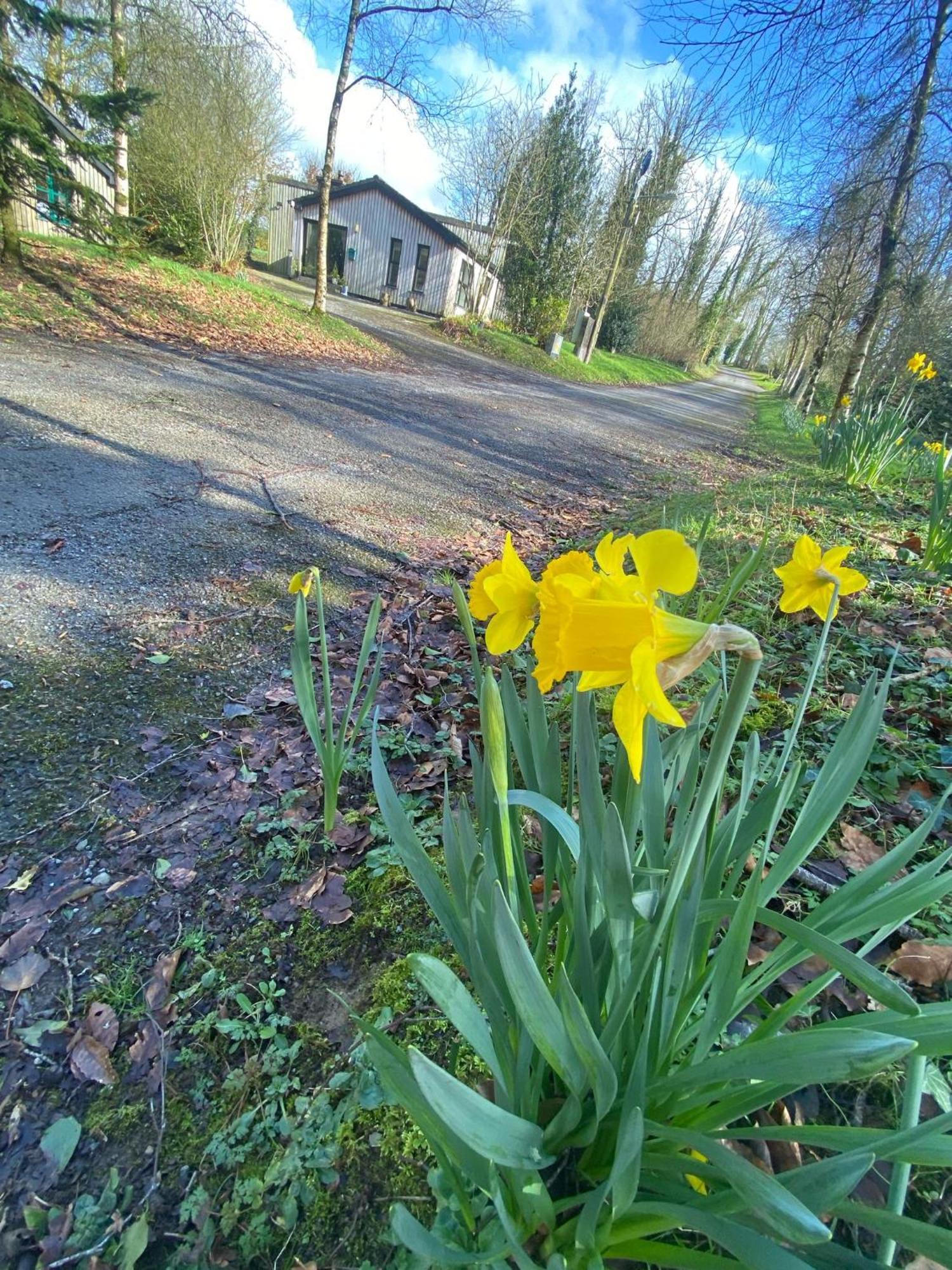 Ballyhoura Mountain Lodges Ballyorgan Esterno foto